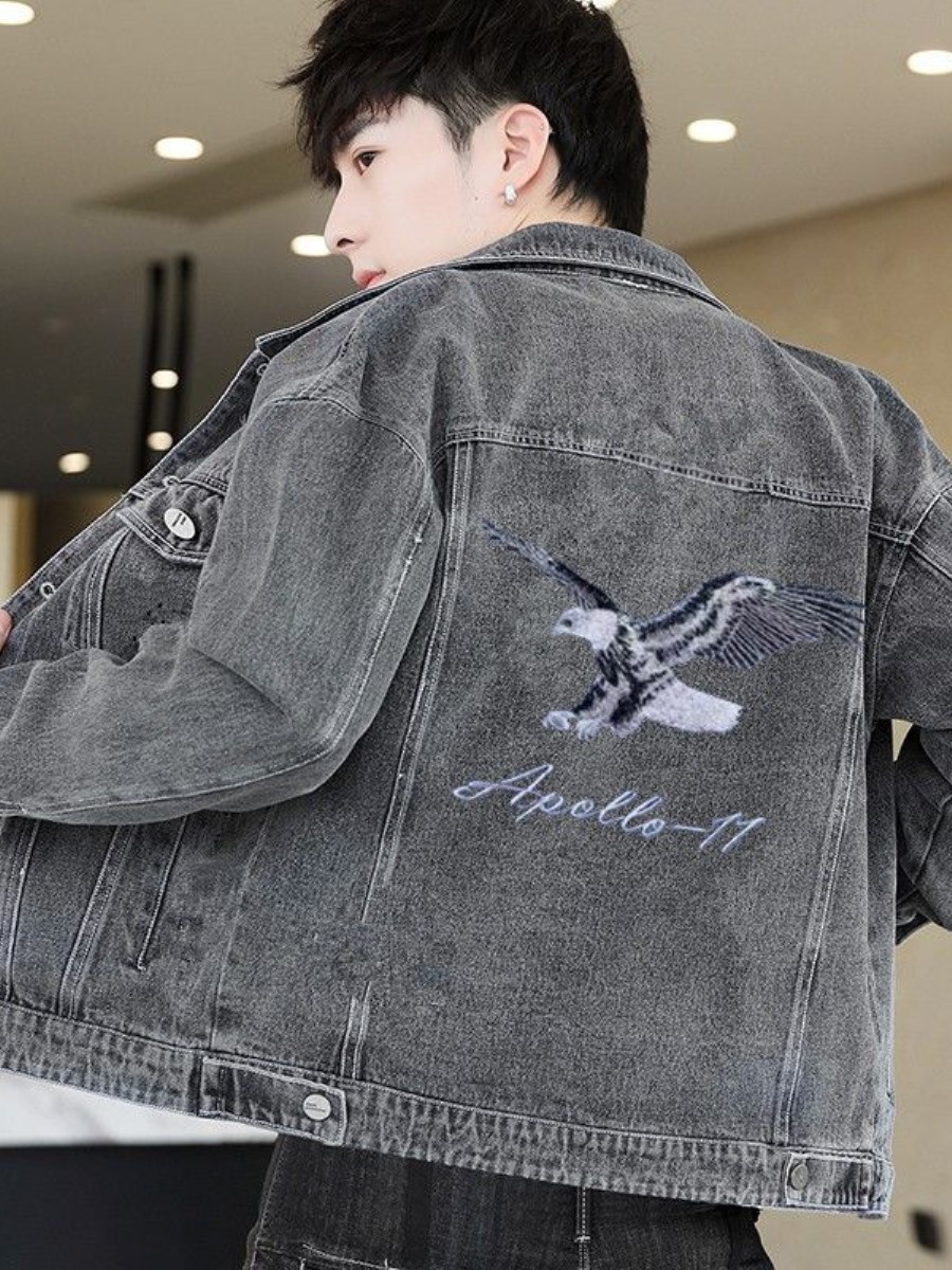 Nieuwe 2026 Heren Denim Jack S - Embroidery Jeans recensie en prijs